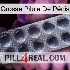 Grosse Pilule De Pénis 30